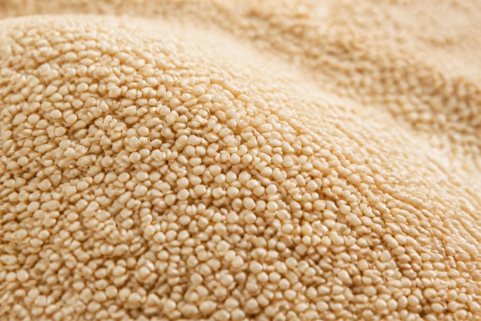 From seed to tahini