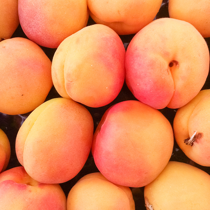 Apricot Seed Oil