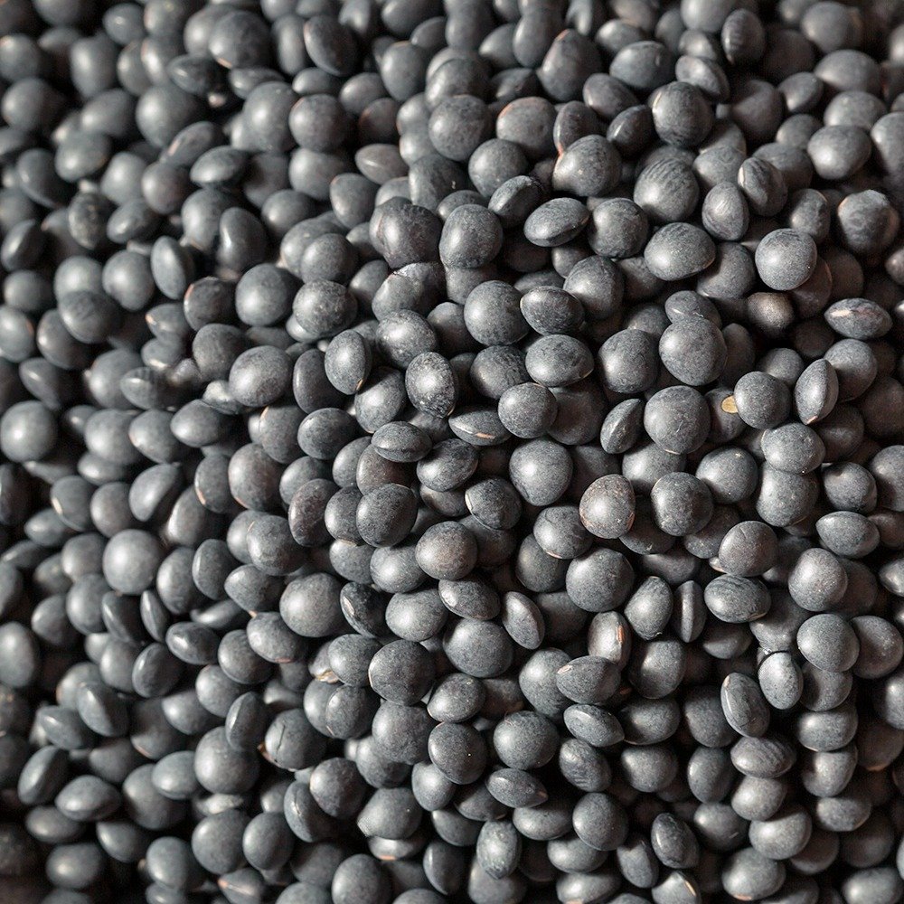 Black Lentil