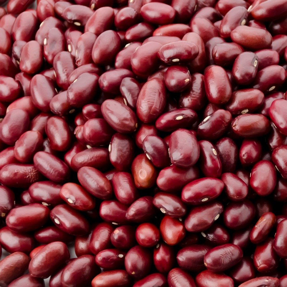 Dark Red Beans