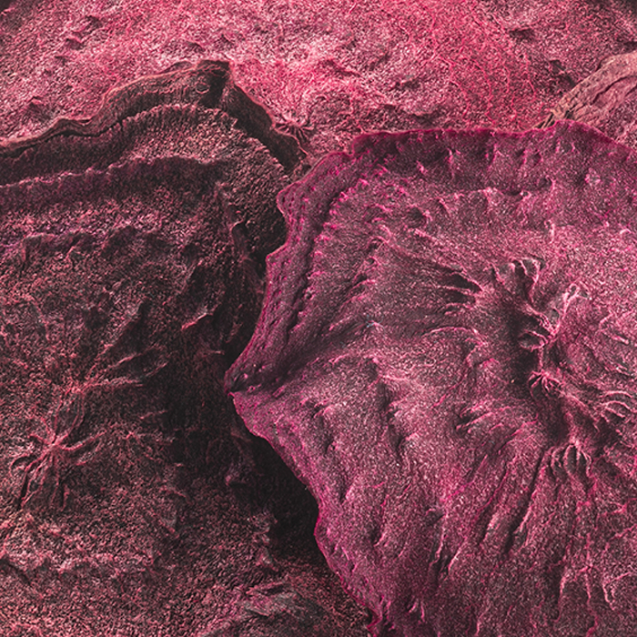 Dried Beetroot