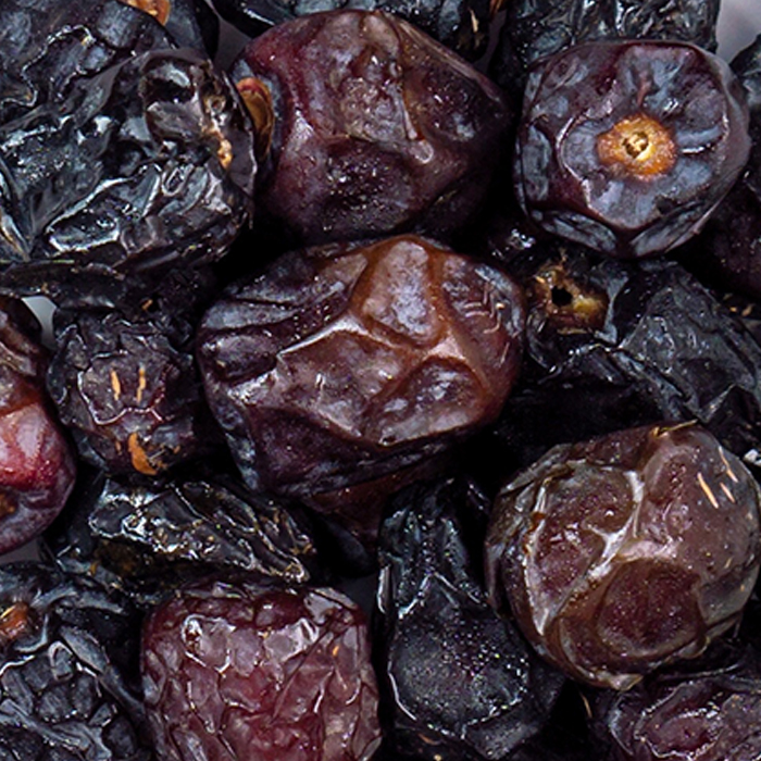 Dried Plum