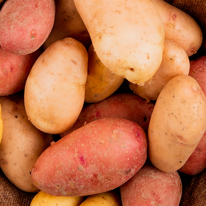 Dried Potato