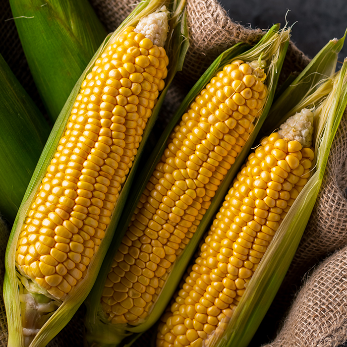 Freeze-Dried Corn
