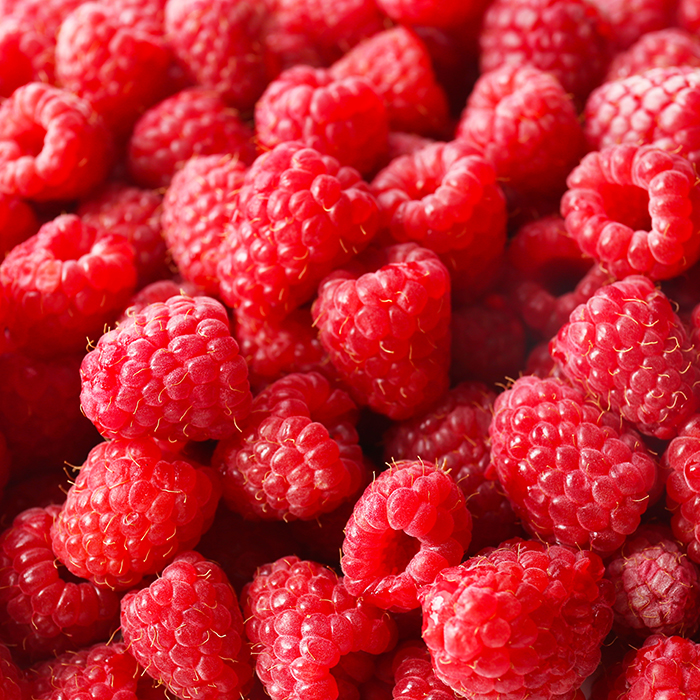 Freeze-Dried Raspberry