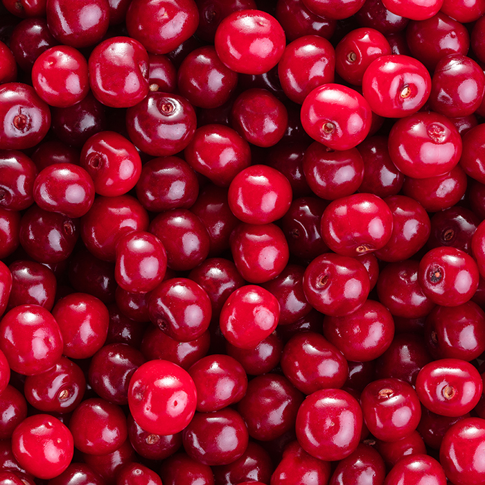 Freeze-Dried Sour Cherry
