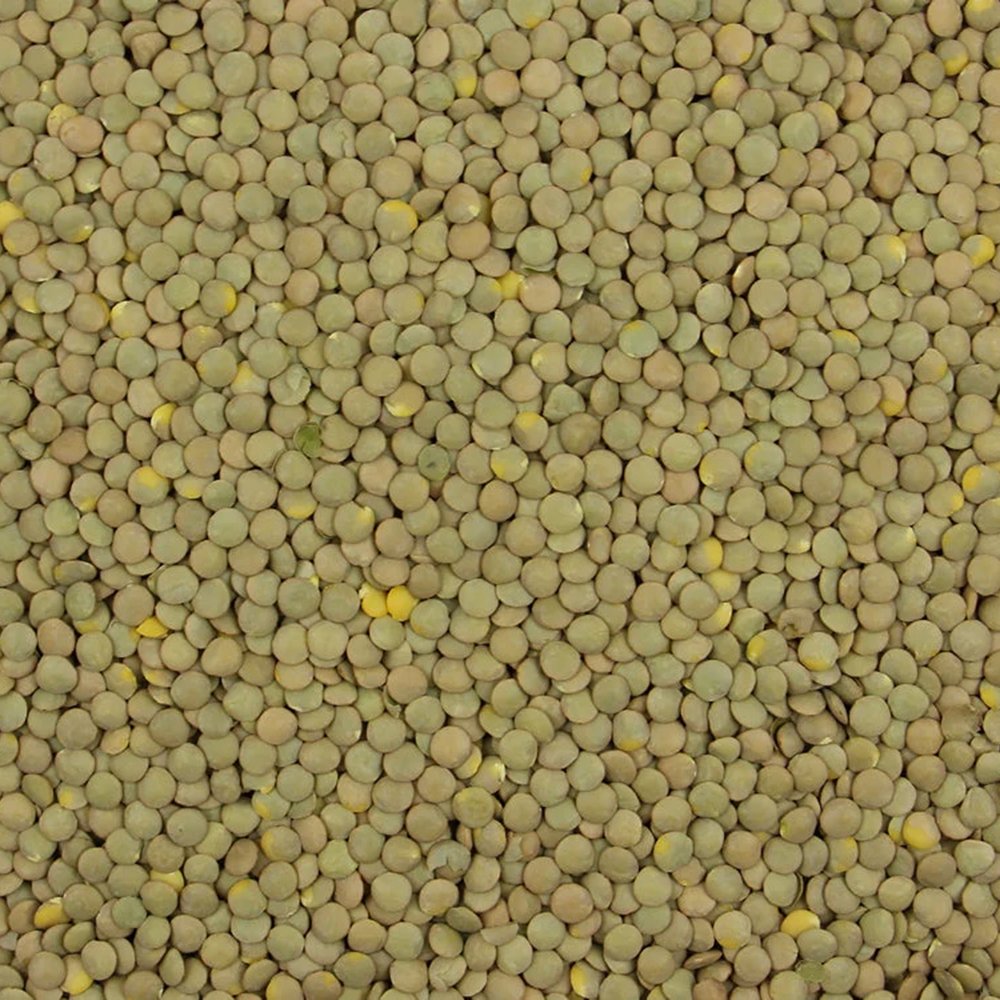 Green Lentil