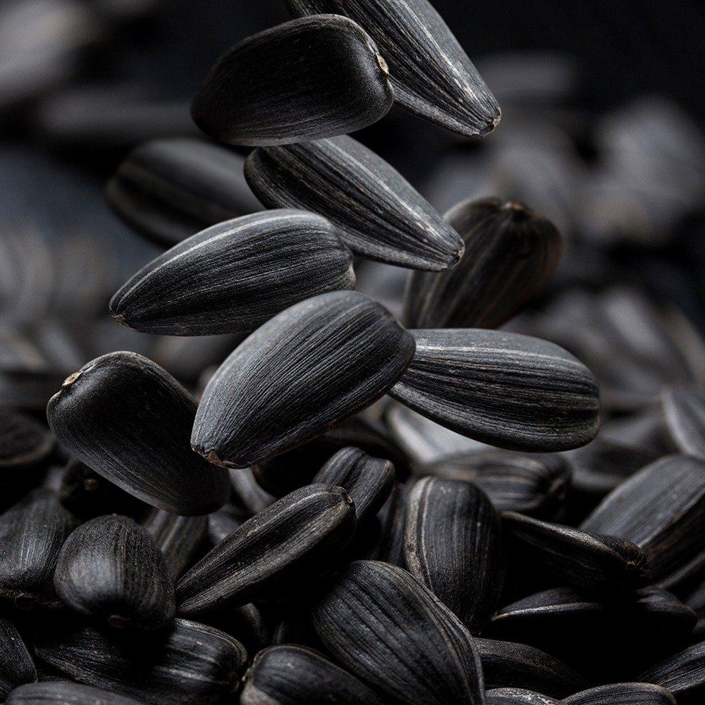 High Oleic Sunflower