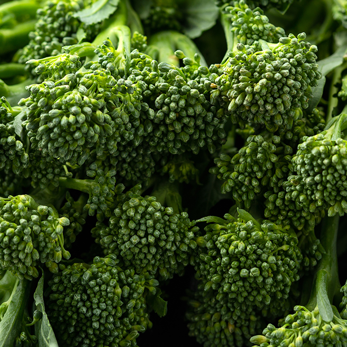 IQF Broccoli