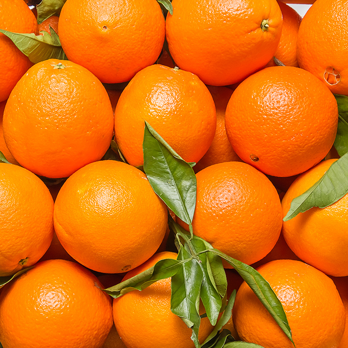 IQF Orange