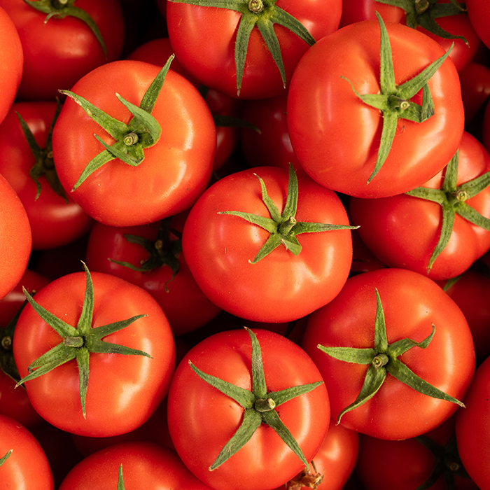 IQF Tomatoes