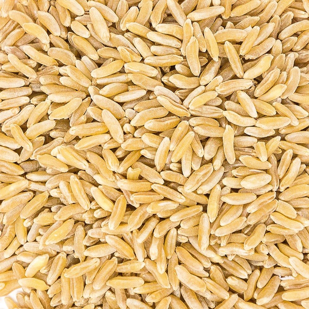 Khorasan Wheat