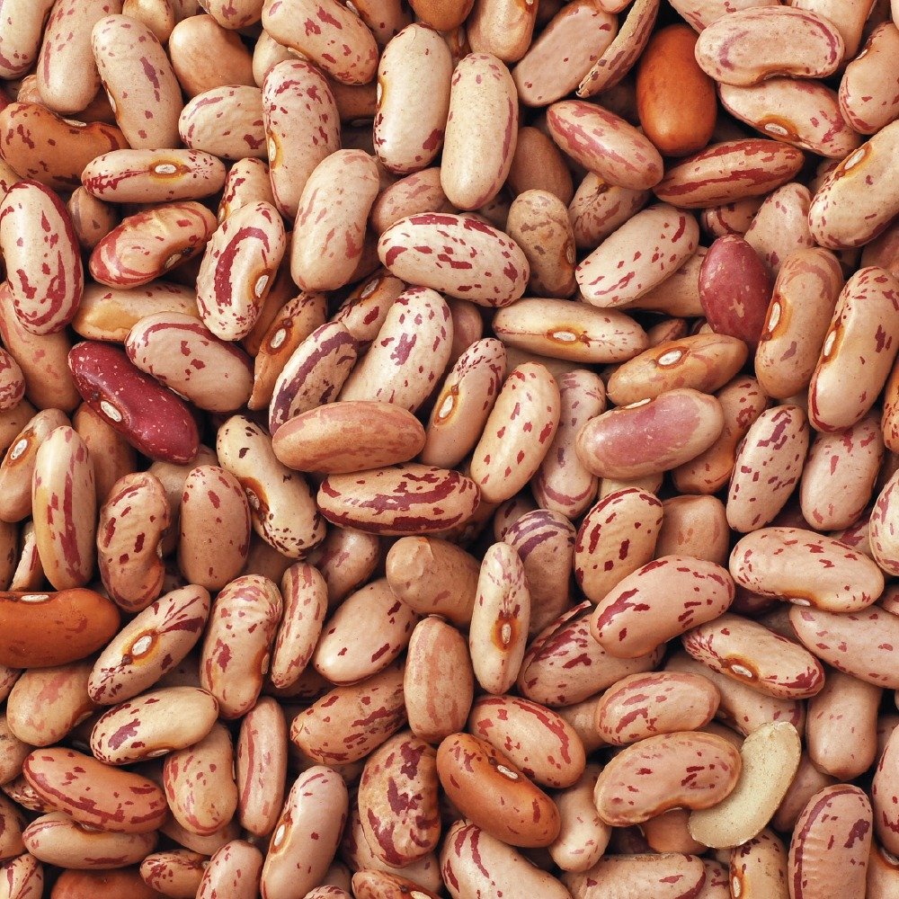Kidney Beans