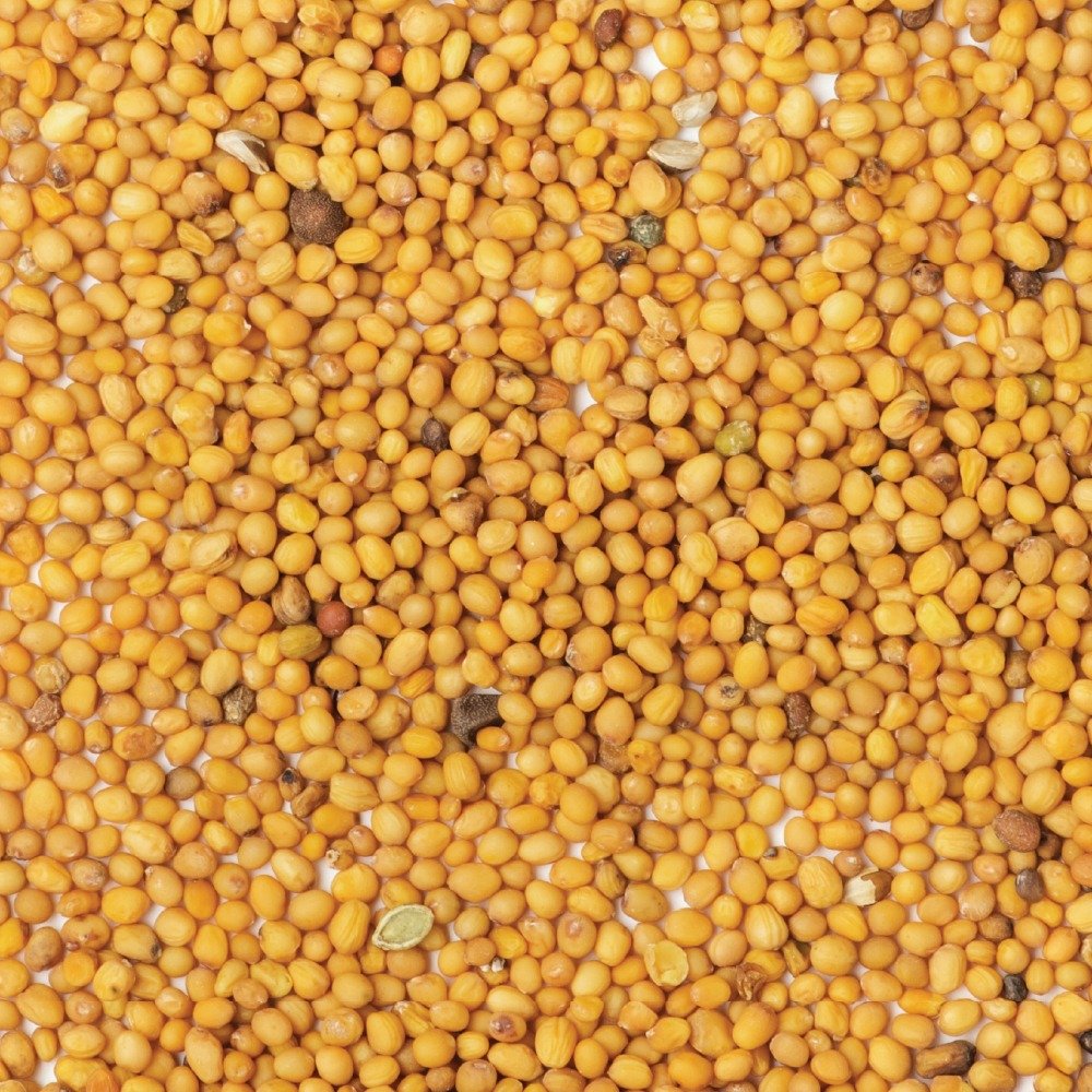 Mustard Oil