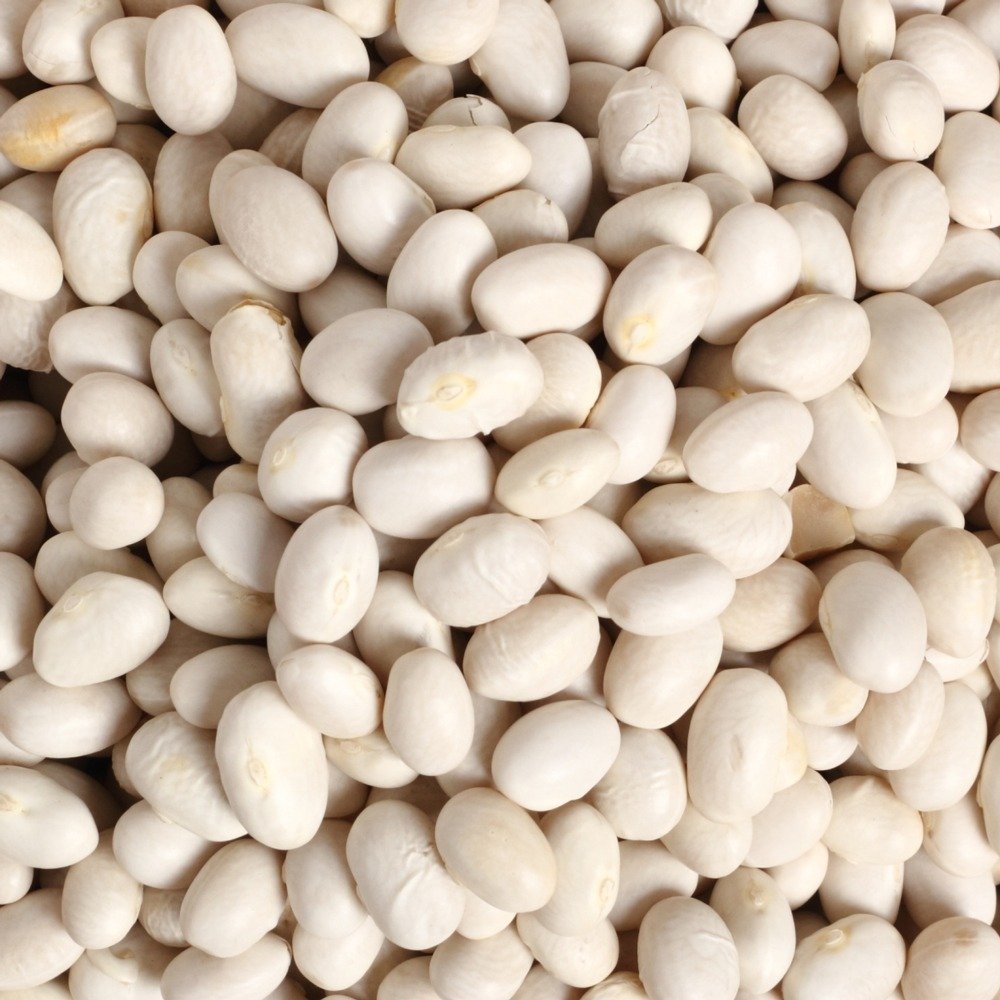 Navy Beans