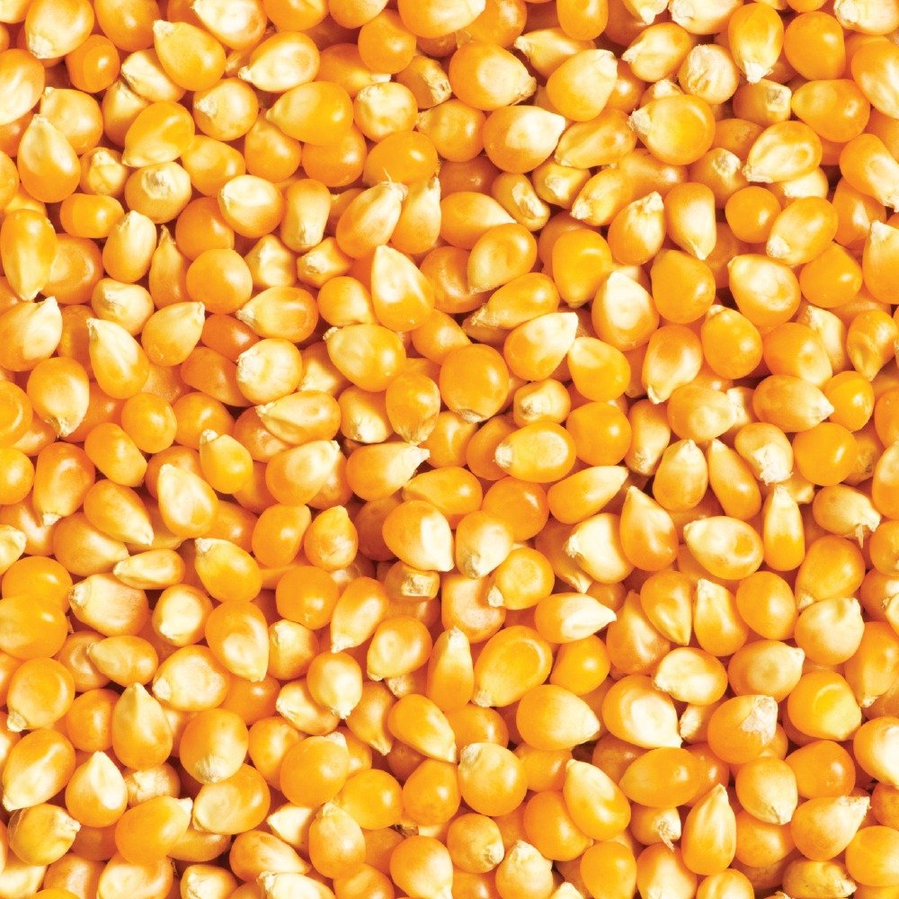 Popcorn