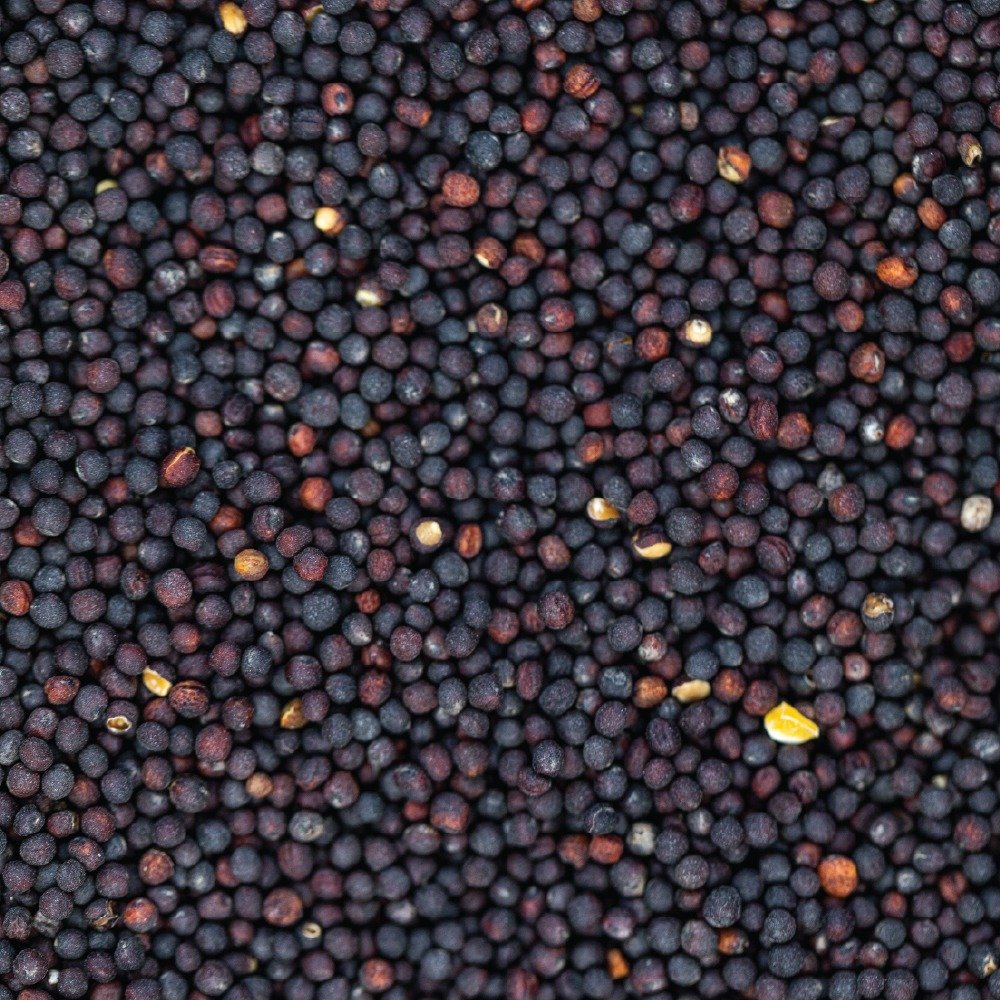 Rapeseed Meal