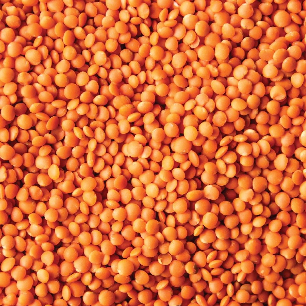 Red Lentils