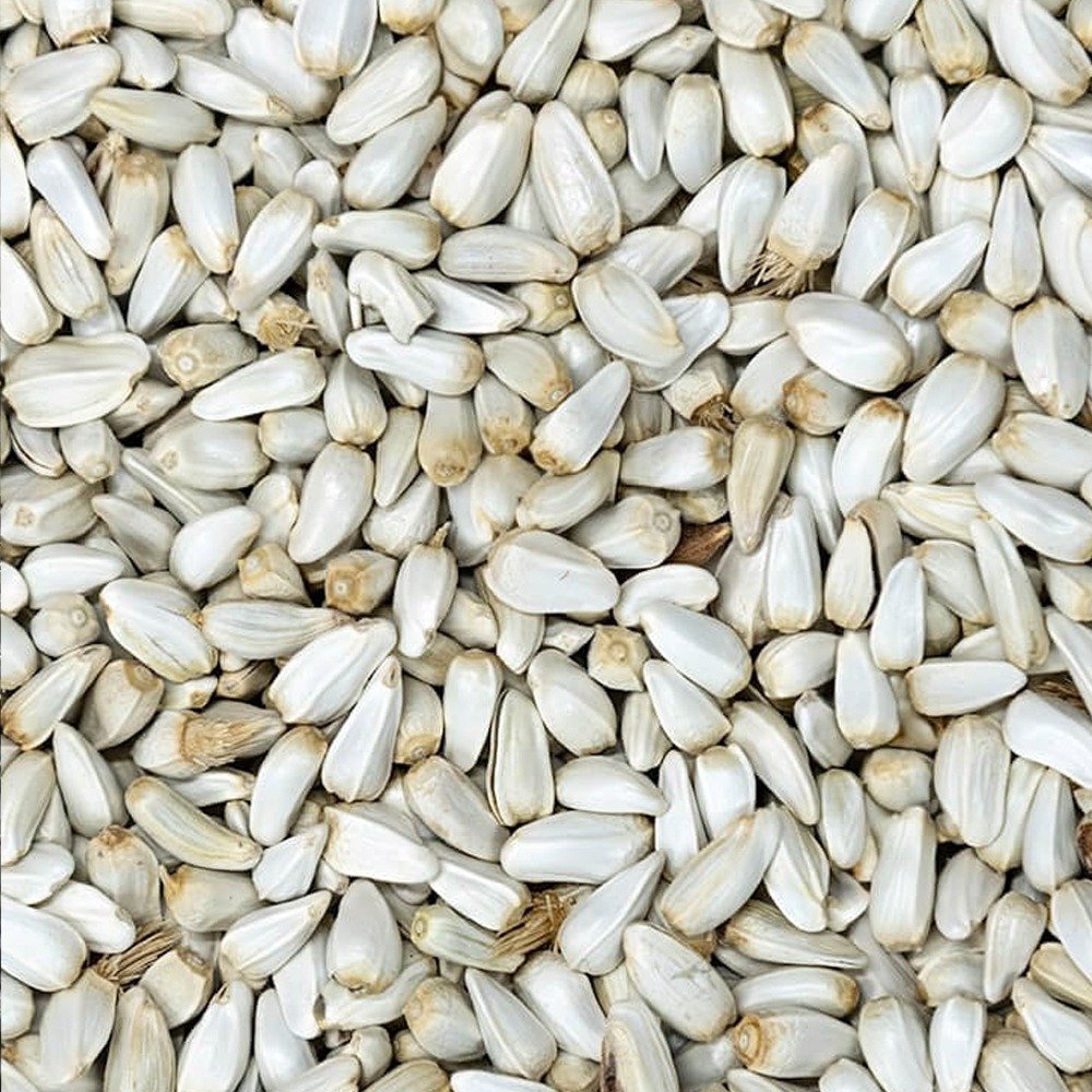 Safflower Seed