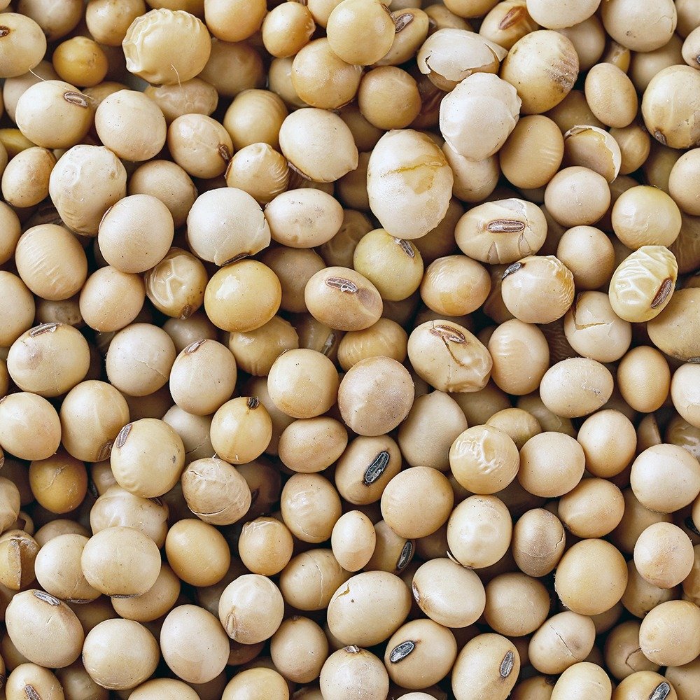 Soybean Oil