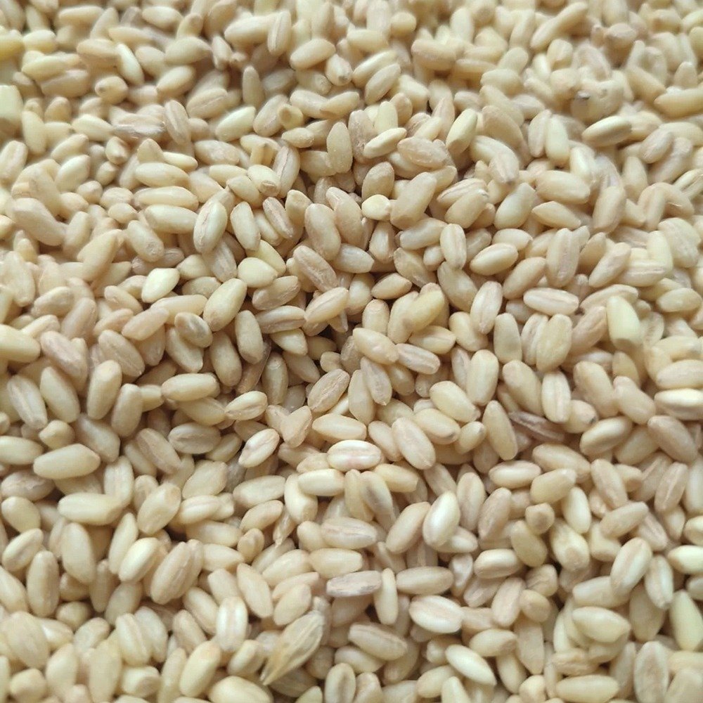 Spelt